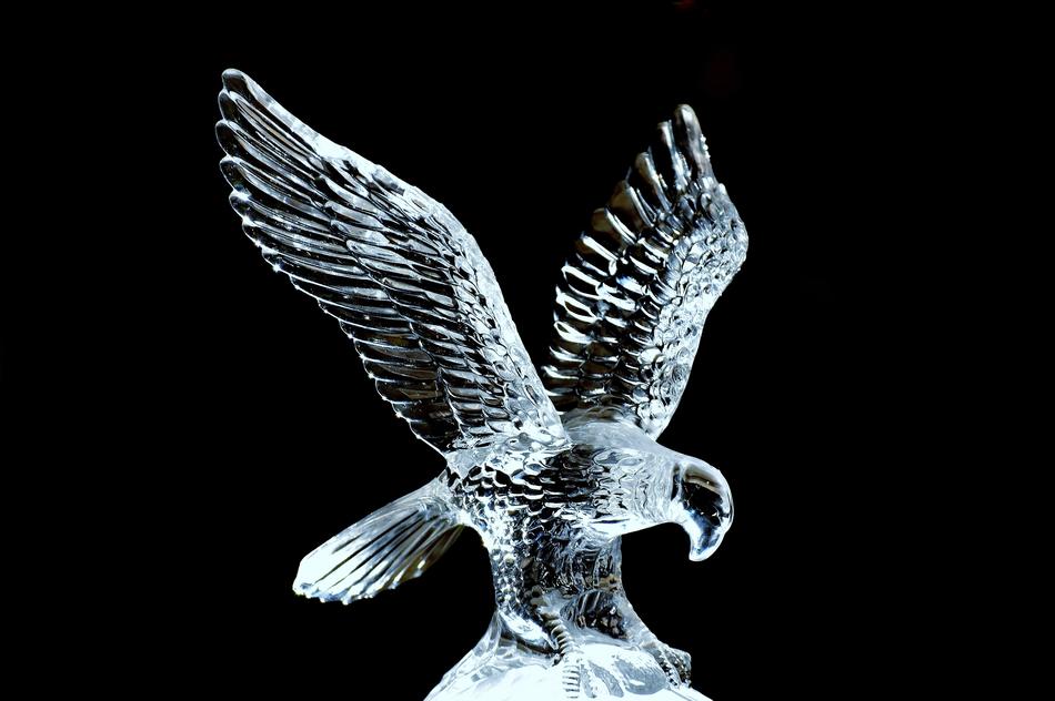 eagle, transparent Glass figure at black background
