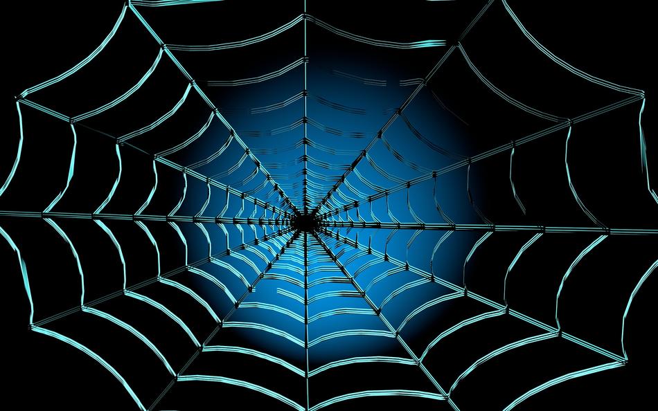 web cobweb nature case