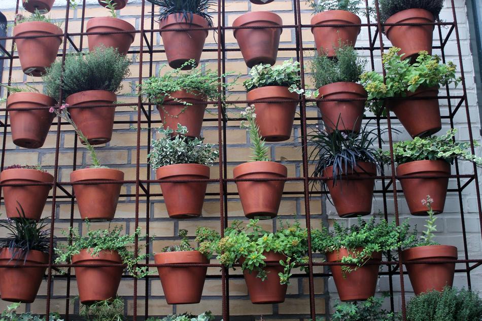 garden pots with flowers in the greenhouse