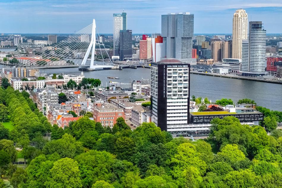 panoramic view of the architecture of rotterdam among the green trees