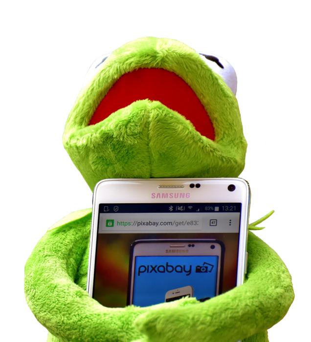Kermit Smartphone Pixabay
