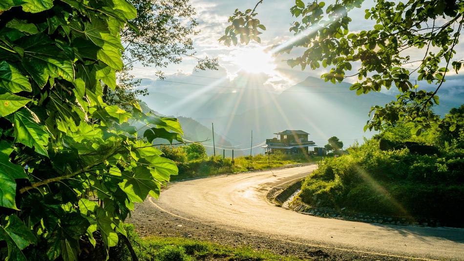 Pathway Road Sun Flare