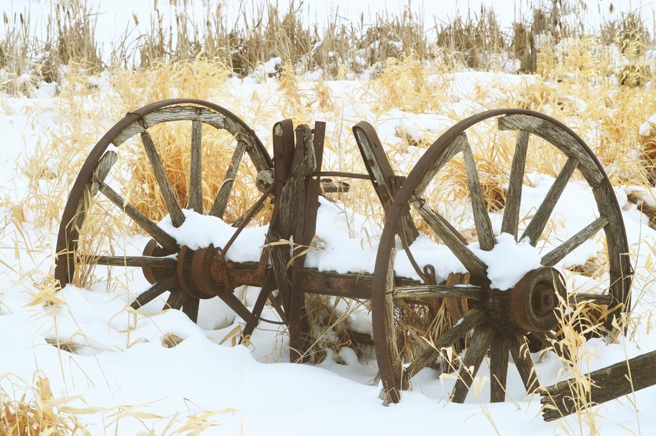 cart wheel