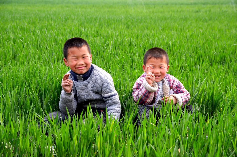 Childs In Wheat green, Mongolia