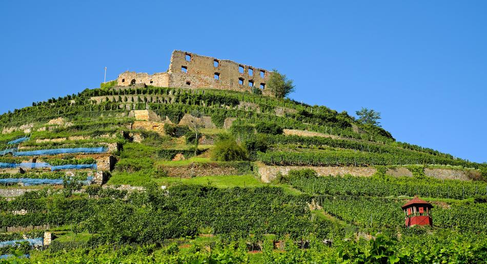 Castle Staufen and green grass in Burgruine