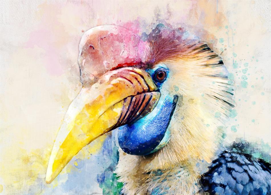 exotic bird picture