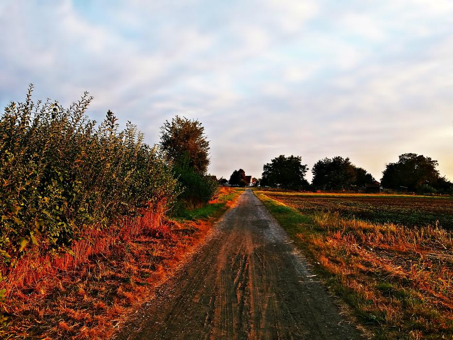 car tracks in an autumn field