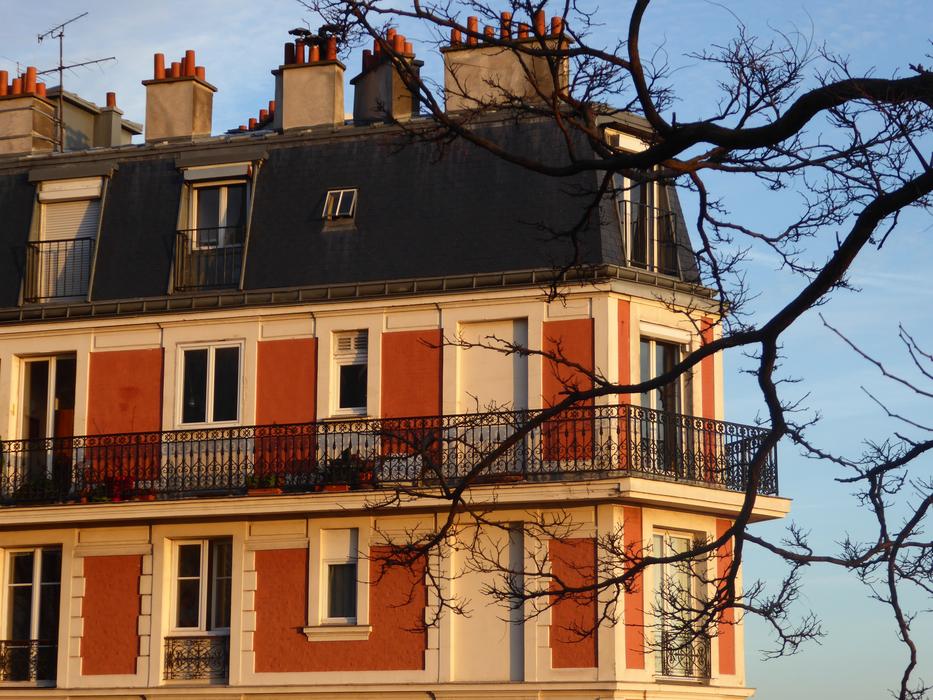 Beautiful and colorful building in Paris, France, and tree branches, at colorful and beautiful sky