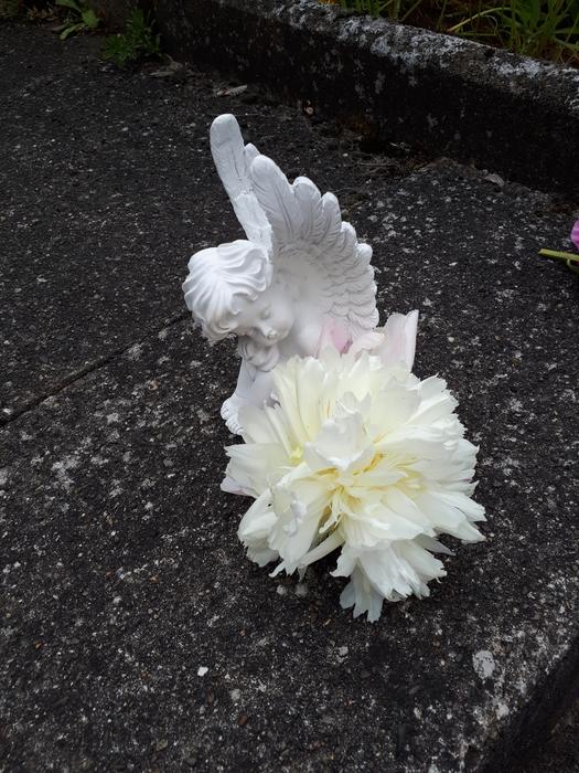 a white flower on the ground