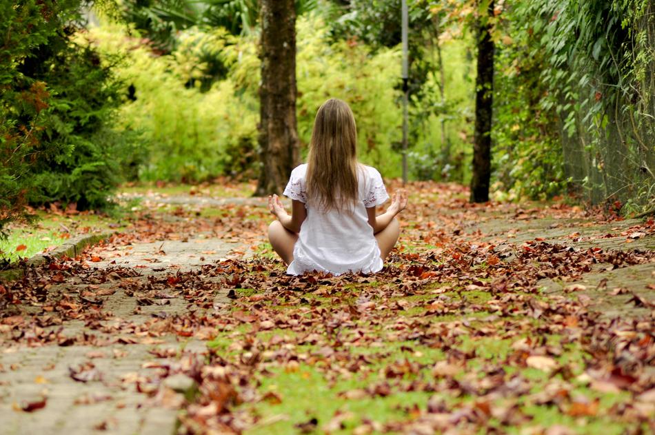GirlForest dry leaf