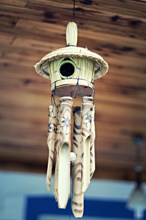 BirdS Nest Socket Bird