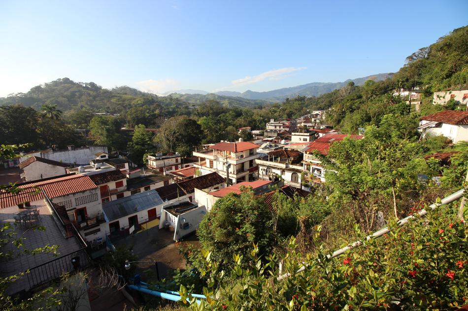resort houses by the trees