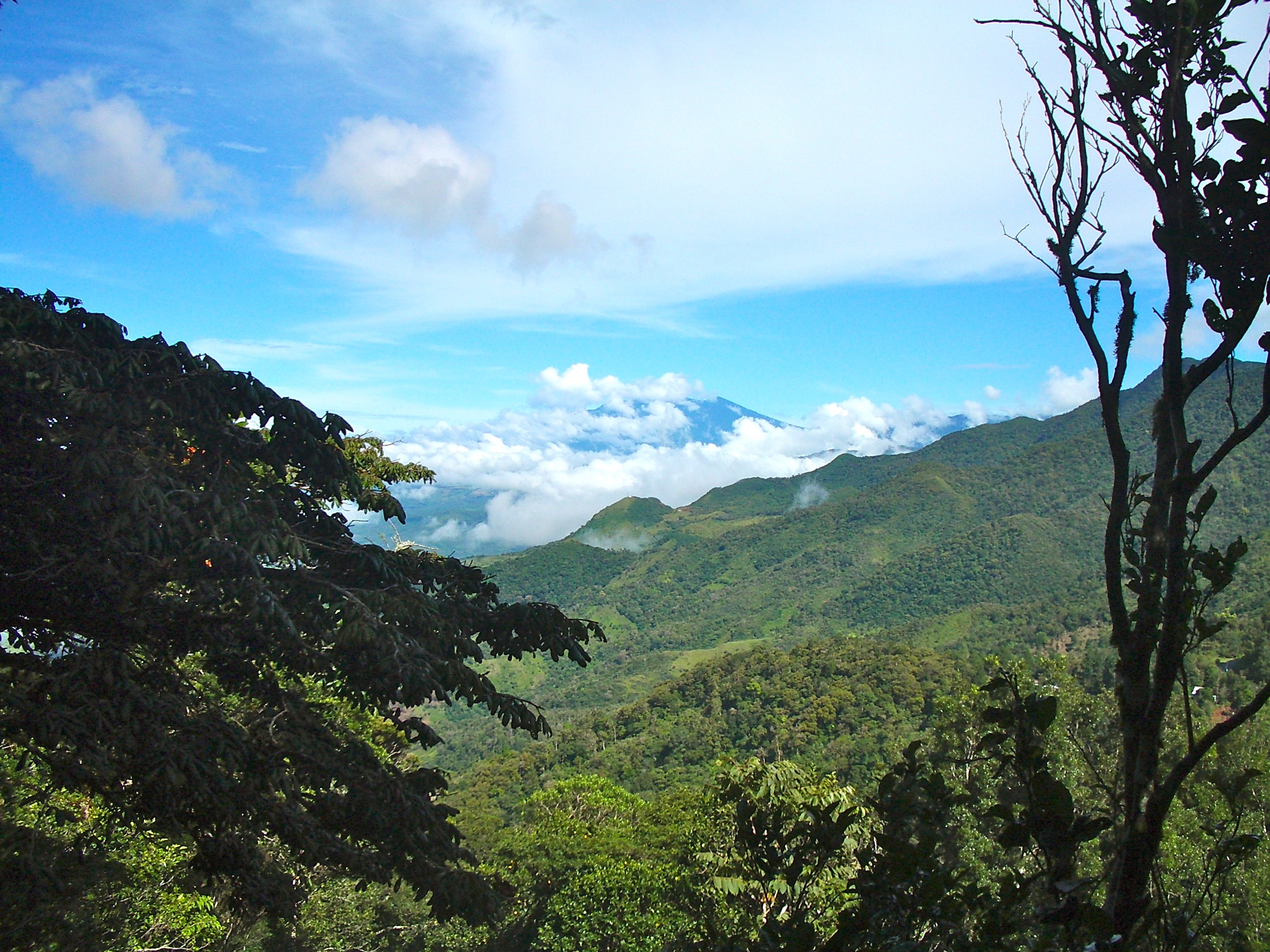 Panama Cloud Forest Sky free image download