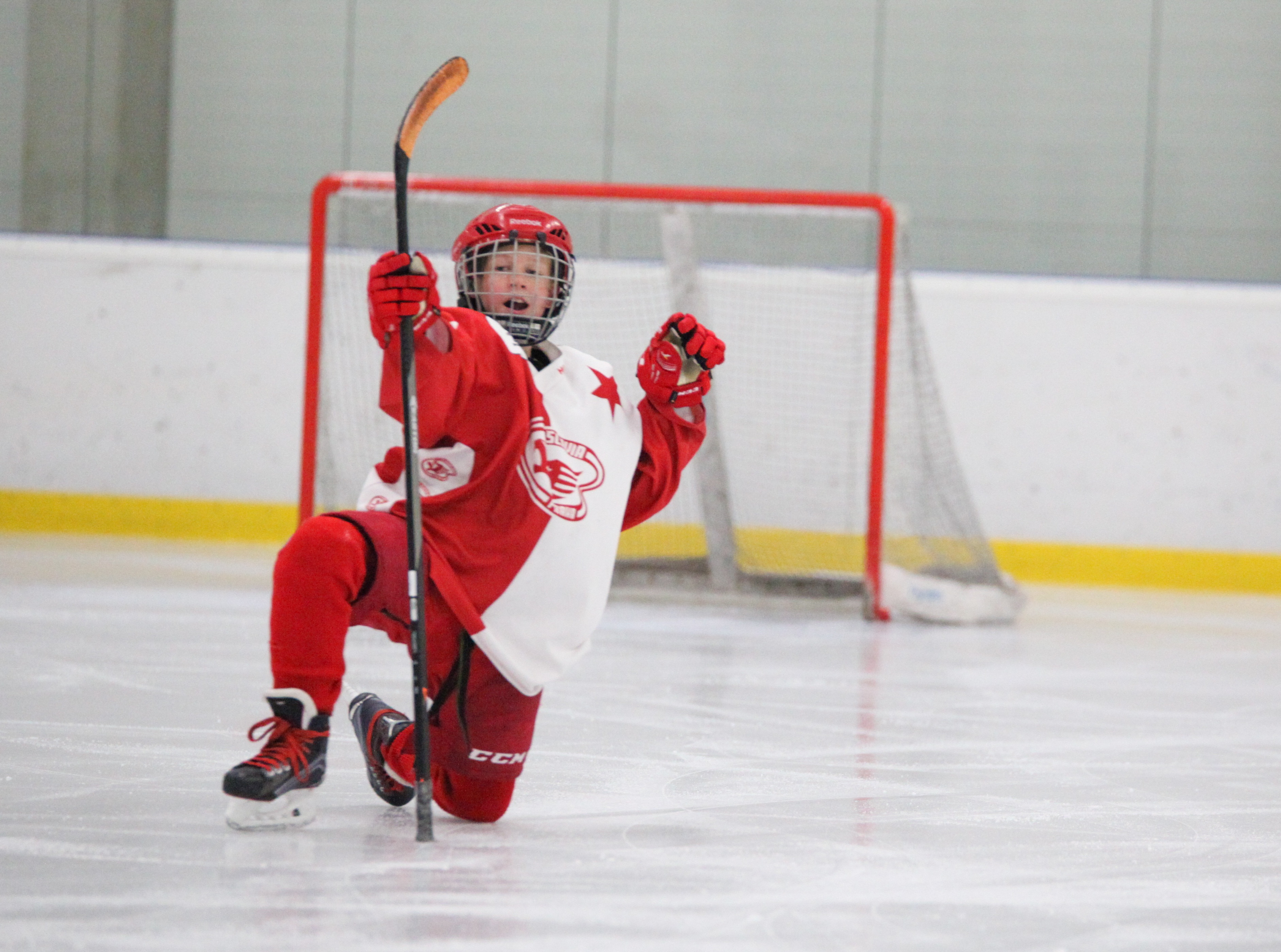 Hockey to play in winter. Хоккей. Славия хоккей. Хоккей Pixabay. Хоккейные фотографии зимние