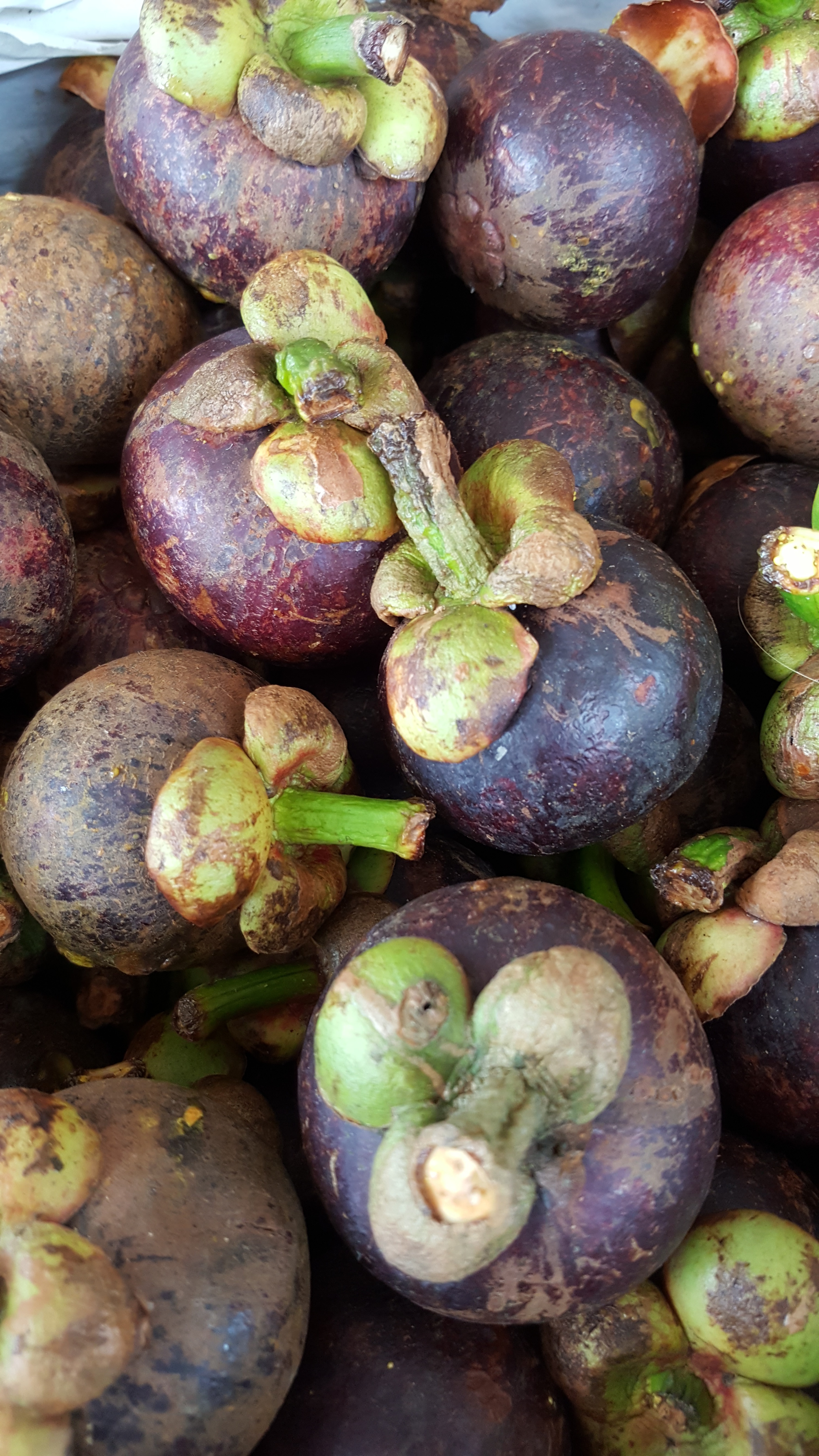 Как выглядит мангустин внутри Ripe purple fruit free image download
