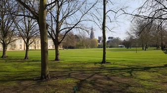 park in campus of Cambridge University early at spring, uk, England