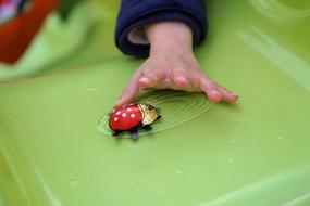 Hand and red plastic bug
