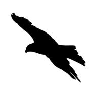 bird flying silhouette clipart