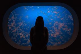 lonely girl looking at the aquarium