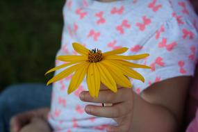 child with yellow flower in hand close-up
