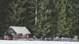 landscape of Cabin House in forest