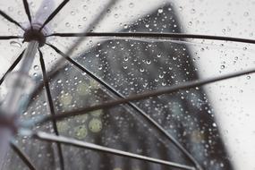 Beautiful rain drops on the transparent plastic umbrella