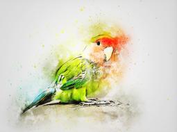 parrot bird looking art