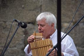 Pan Flute Artist