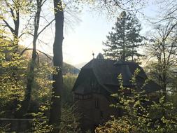 Landscape of House at forest Nature