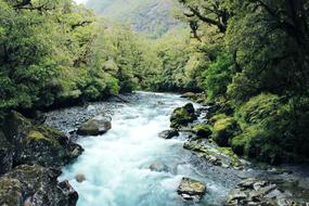 river flow in new zealand
