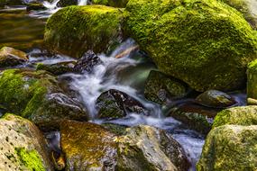 planted waterfall