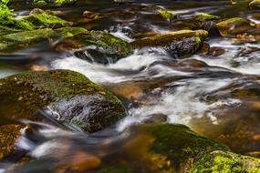 a beautiful river with rocks