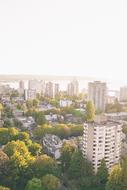 City green trees