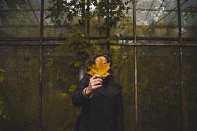Alone person and yellow leaf