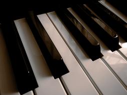 Keyboard Piano Keys white black