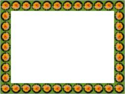 art frame border green orange