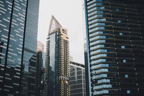 glass skyscrapers in the city center