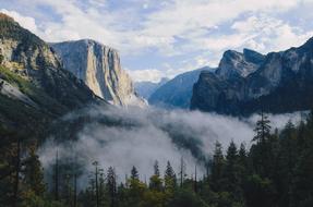mountains, forest, fog in the valley