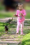 Pet Dog and Girl walk