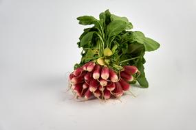 colored radish