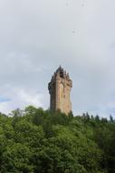 tower among green trees in scotland