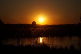 Beautiful landscape with the water and plants, with silhouettes, at orange sunset