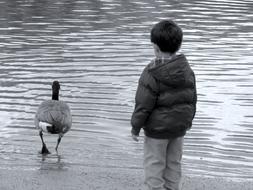 Boy and duck at Water