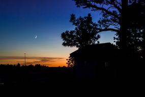 Moon on sky and Dark Night forest