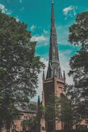 photo of an old brick tower among the trees