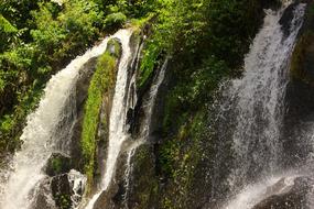 View of a waterfall in the forest