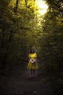 Alice Girl Dress yellow