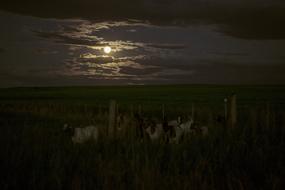 Dark Night Clouds