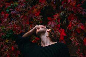 Man and red leaves