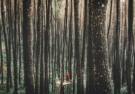 lonely man on the observation deck in the forest